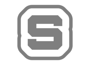Skinz Auto Wraps Logo