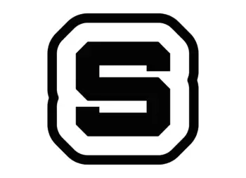 Skinz Auto Wraps logo